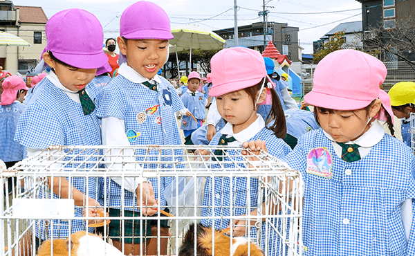 移動動物園の様子