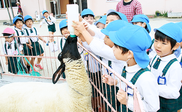 移動動物園の様子